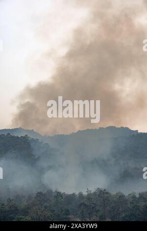 I cambiamenti climatici, gli incendi provocati rilasciano emissioni di biossido di carbonio (CO2) e altri gas a effetto serra (GHG) che contribuiscono al cambiamento climatico e al riscaldamento globale Foto Stock