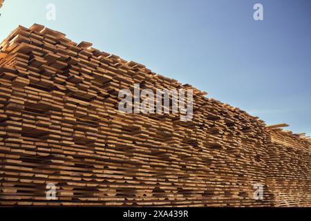 Tavole in legno impilate in un cortile di legno in una giornata di sole. Foto Stock