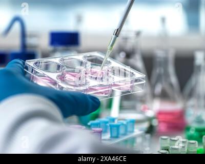Lo scienziato pipettava il liquido in piastre per colture cellulari Foto Stock