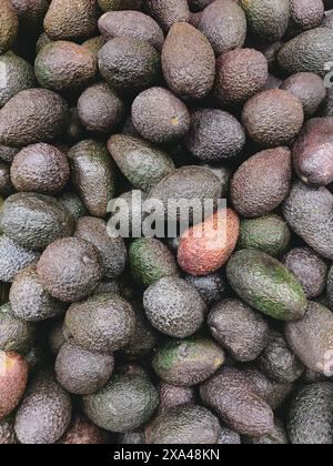 Vista full frame dall'alto di avocado freschi e raccolti Foto Stock