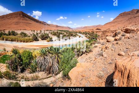 Ziz Valley, Marocco. Splendido paesaggio di oasi con palme nelle montagne dell'alto Atlante, Nord Africa. Foto Stock