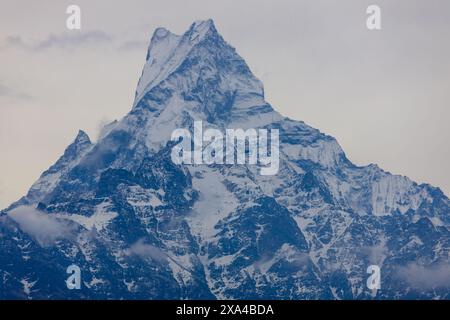 Annapurna South, Mardi Himal e Machapuchare vette innevate nella catena dell'Himalaya, Nepal. Splendido paesaggio di montagna sul trekking Foto Stock