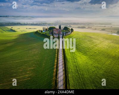 Toscana, Italia. Vista aerea con droni di un tipico paesaggio toscano, file di cipressi nella stagione primaverile, fendinebbia mattutina. Foto Stock