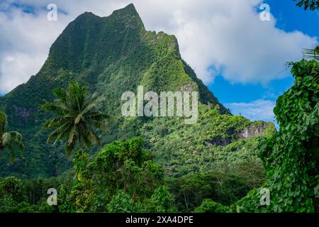 Lussureggiante montagna verde sotto un cielo blu limpido con soffici nuvole bianche, incorniciata da un fogliame tropicale e da una torreggiante palma. Foto Stock