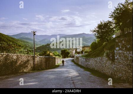 Una vista tranquilla di una vecchia strada rurale con pareti di pietra su entrambi i lati che conducono verso colline verdi ondulate, con una sola persona che cammina in lontananza sotto un cielo morbido. Foto Stock