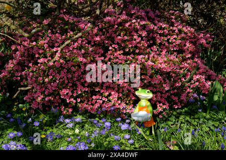 Una statuetta a forma di rana, in mezzo ai fiori del giardino, in primavera. Foto Stock