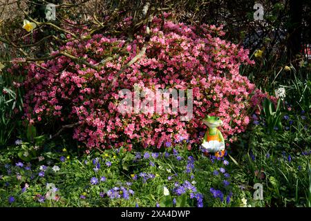 Una statuetta a forma di rana, in mezzo ai fiori del giardino, in primavera. Foto Stock