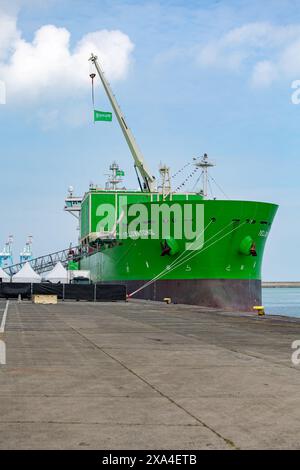 Zeebrugge, Belgio. 4 giugno 2024. Questa immagine mostra la presentazione della nave per installazione di rocce a tubo fallato "Yellowstone" del gruppo di infrastrutture offshore DEM, martedì 4 giugno 2024 a Zeebrugge. BELGA FOTO KURT DESPLENTER credito: Belga News Agency/Alamy Live News Foto Stock