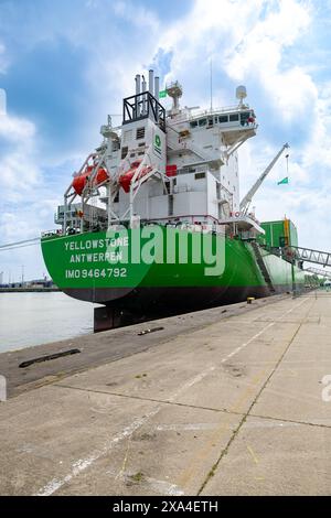 Zeebrugge, Belgio. 4 giugno 2024. Questa immagine mostra la presentazione della nave per installazione di rocce a tubo fallato "Yellowstone" del gruppo di infrastrutture offshore DEM, martedì 4 giugno 2024 a Zeebrugge. BELGA FOTO KURT DESPLENTER credito: Belga News Agency/Alamy Live News Foto Stock