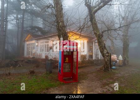 Fog, Monte Lu Lushan, sito Patrimonio dell'Umanità dell'UNESCO, Jiujiang, Jiangxi, Cina, Asia Copyright: MichaelxRunkel 1184-10230 DATA RECORD NON DICHIARATA Foto Stock