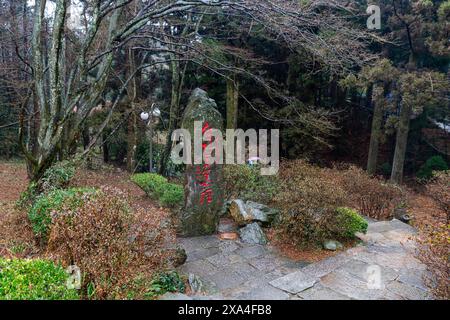 Fog, Monte Lu Lushan, sito Patrimonio dell'Umanità dell'UNESCO, Jiujiang, Jiangxi, Cina, Asia Copyright: MichaelxRunkel 1184-10225 DATA RECORD NON DICHIARATA Foto Stock