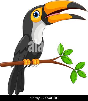 Carino cartone animato di uccelli toucan su sfondo bianco Illustrazione Vettoriale