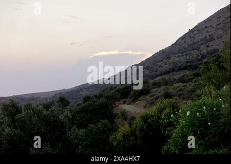 Tramonto dietro una montagna con una strada sterrata che si snoda lungo la collina, incorniciata da alberi sagomati e arbusti in primo piano. Foto Stock