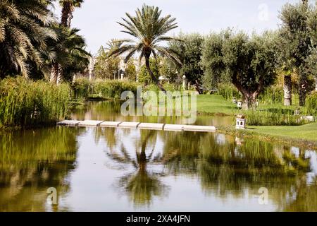 Un tranquillo laghetto con un piccolo ponte in legno, circondato da vegetazione lussureggiante e palme, riflette il paesaggio sulla sua superficie d'acqua calma. Foto Stock