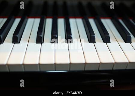 Vista ravvicinata dei tasti piano in bianco e nero che ne mostrano il motivo e la simmetria. Foto Stock