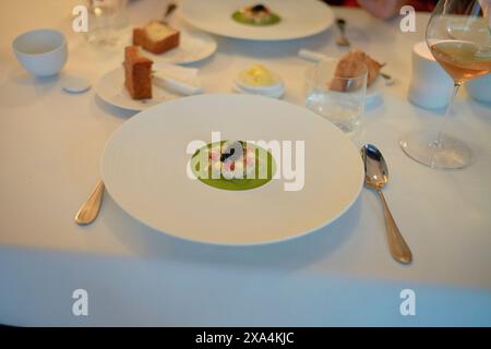 Un piatto gourmet viene presentato su un grande piatto bianco ad un elegante tavolo da pranzo con argenteria, un bicchiere di vino e pane a lato. Foto Stock