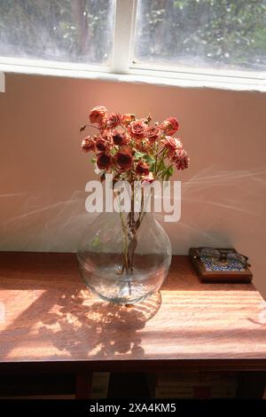 Un vaso di rose appassite siede su una superficie di legno bagnata dalla luce del sole da una finestra, che getta un'ombra, con un libro chiuso accanto. Foto Stock