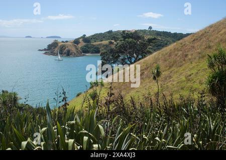 Paesaggio costiero con vegetazione lussureggiante che si affaccia su un tranquillo mare blu con una barca a vela bianca e un cielo limpido. Foto Stock