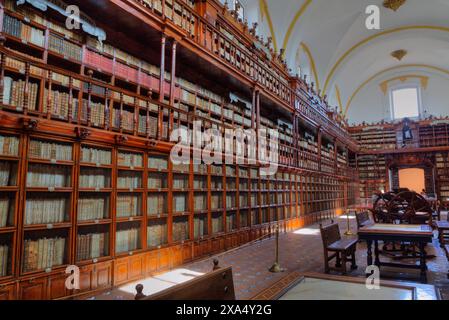 Palafoxiana Library, 1646, First Library of Latin America, Patrimonio dell'Umanità dell'UNESCO, Historic Center, Puebla, Puebla State, Messico, North America Co Foto Stock