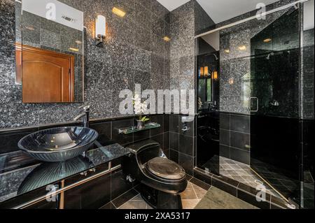 Bagno moderno con doccia, WC e ripiani in marmo Foto Stock