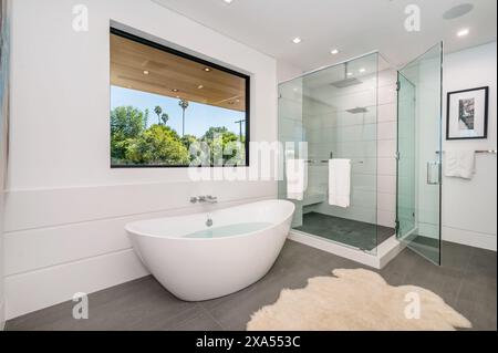 Bagno con ampia doccia in vetro e grande vasca Foto Stock