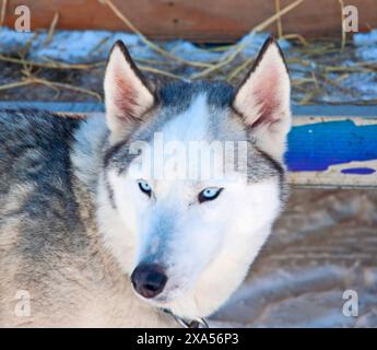 Paesaggi e Seascape e animali aggiungono varietà alle immagini Foto Stock