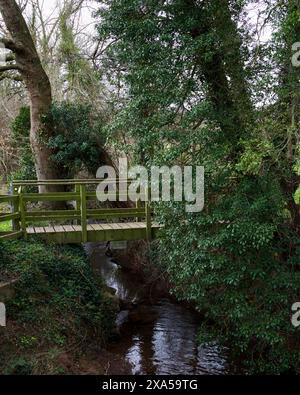 Passerella su un ruscello nella campagna dell'Herefordshire Foto Stock