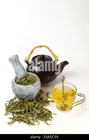 Un infuso di verbena al limone in una tazza di vetro con mortaio di marmo e pestello e una teiera in ceramica Foto Stock