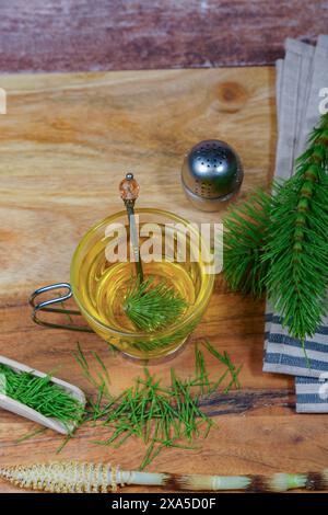 Una tazza di vetro con un infuso di tè in fiore di lime con foglie fresche intorno Foto Stock