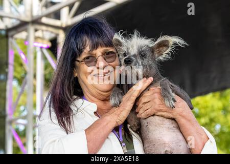 Petaluma, California, Stati Uniti. 23 giugno 2023. Linda Elmquist e "Scooter", una bambina cinese di 7 anni, vincitrice del 2023 World's Ugliest Dog Foto Stock