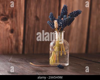 Piccoli fiori blu e bianchi in un vaso su un tavolo Foto Stock