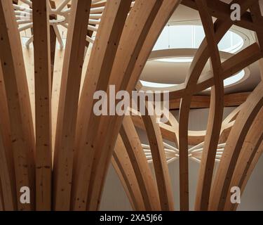 Dettagli della colonna in legno e del reticolo lavorano con il lucernario. Cambridge Mosque, Cambridge, Regno Unito. Architetto: Marks Barfield Architects, 2019. Foto Stock