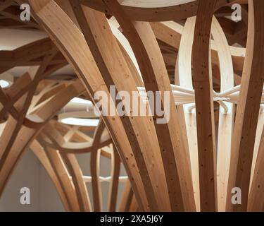 Dettagli della colonna in legno e del reticolo lavorano con il lucernario. Cambridge Mosque, Cambridge, Regno Unito. Architetto: Marks Barfield Architects, 2019. Foto Stock