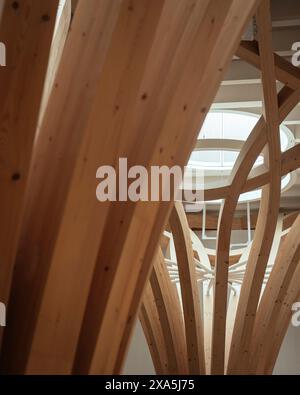 Dettagli della colonna in legno e del reticolo lavorano con il lucernario. Cambridge Mosque, Cambridge, Regno Unito. Architetto: Marks Barfield Architects, 2019. Foto Stock