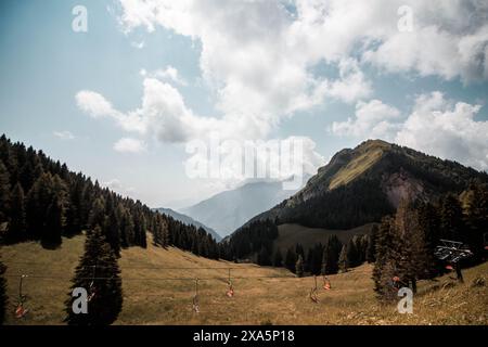 Un cielo blu nuvoloso sopra una montagna erbosa con alberi in primo piano Foto Stock
