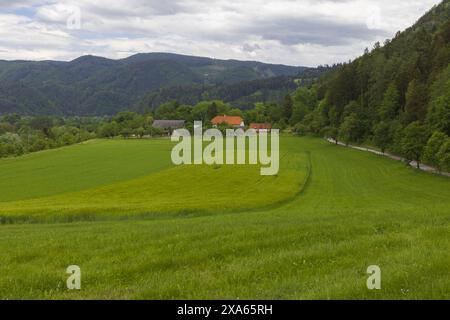 Vista della casa sul tetto rosso alpino circondata da colline con foresta attraverso un enorme campo verde, paesaggio rurale pastorale delle Alpi durante le nuvolose giornate estive Foto Stock