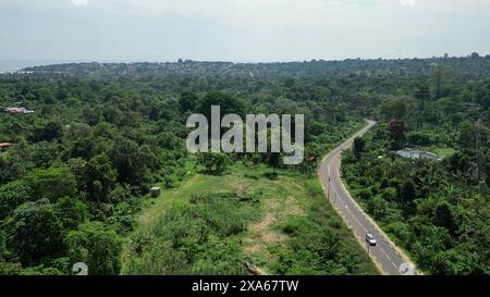 Auto che guidano su una strada stretta circondata da alberi Foto Stock