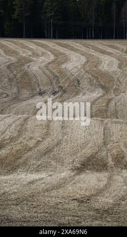 Un campo rurale arato con alberi multipli Foto Stock
