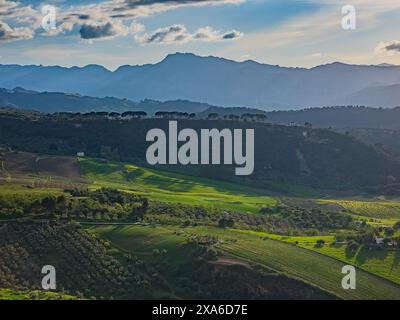 Il paesaggio andaluso in primavera in Spagna Foto Stock