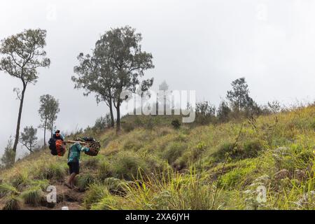 Un gruppo di scalatori nel vulcano di Lombox Foto Stock