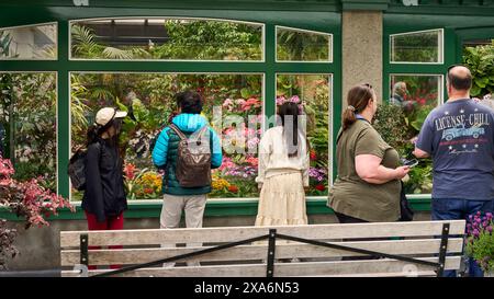 Persone che guardano attraverso la finestra la splendida esposizione nella serra dello spettacolo di Butchart Gardens, Victoria, British Columbia. Foto Stock