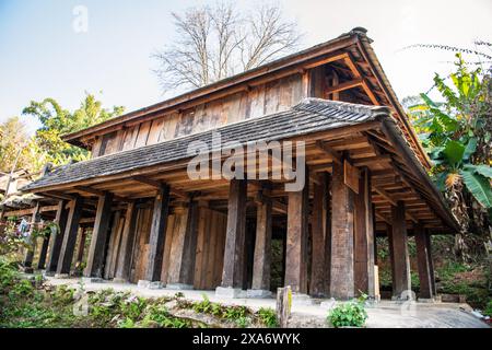 Una piattaforma in legno immersa nel verde lussureggiante circondata da alberi Foto Stock