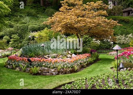 Vista degli alberi colorati e dei fiori primaverili nel giardino sommerso, Butchart Gardens, Victoria, British Columbia. Foto Stock