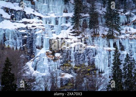 Un primo piano di rocce innevate e alberi vicino a una cascata ghiacciata Foto Stock