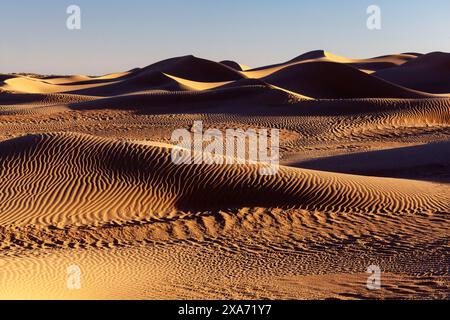 Africa, Marocco, Zagora, Sahara, Erg Lehoudi, dune di sabbia Foto Stock