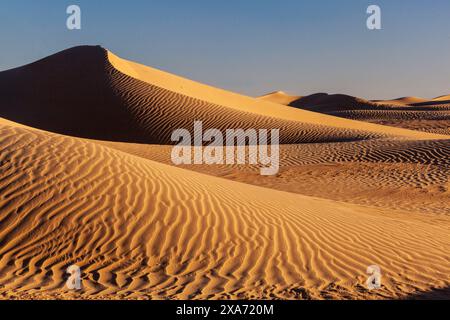 Africa, Marocco, Zagora, Sahara, Erg Lehoudi, dune di sabbia Foto Stock