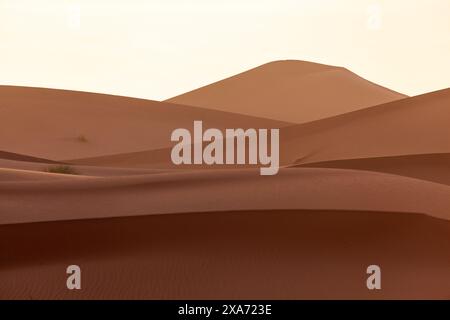 Africa, Marocco, Zagora, Sahara, Erg Lehoudi, dune di sabbia Foto Stock