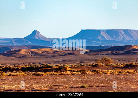 Africa, Marocco, Zagora, Sahara, Erg Lehoudi, Foto Stock