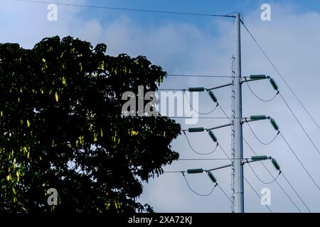 Primo piano di più pali telefonici in piedi in fila Foto Stock