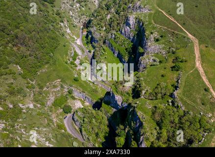 Strada curvilinea lungo alberi e cespugli di montagna Foto Stock